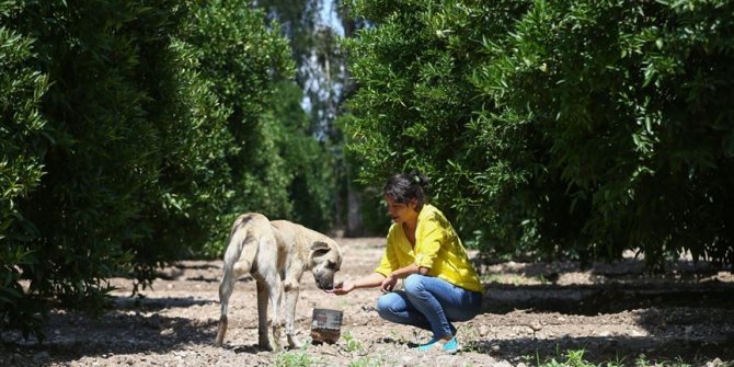 Sokak hayvanlarının 'Can Dostları' oldular