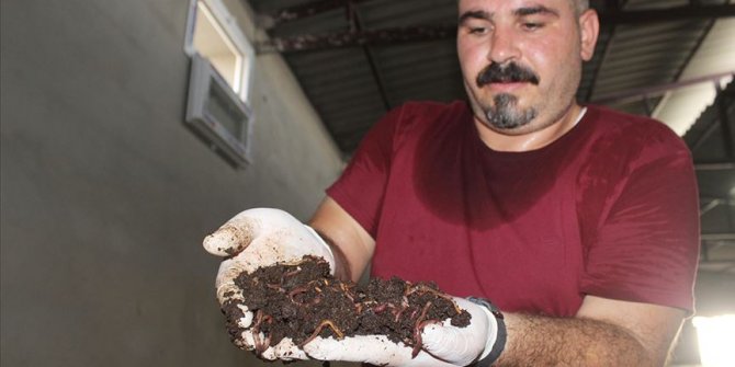 Kariyerine 'solucan gübresi' ile yön verdi