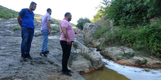Dilovası Eynerce Deresi'nde kimyasal atık şüphesi