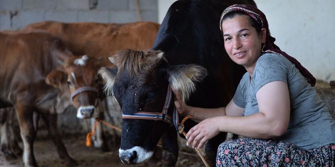 Şehirde ev temizliğine gidiyordu, besici oldu