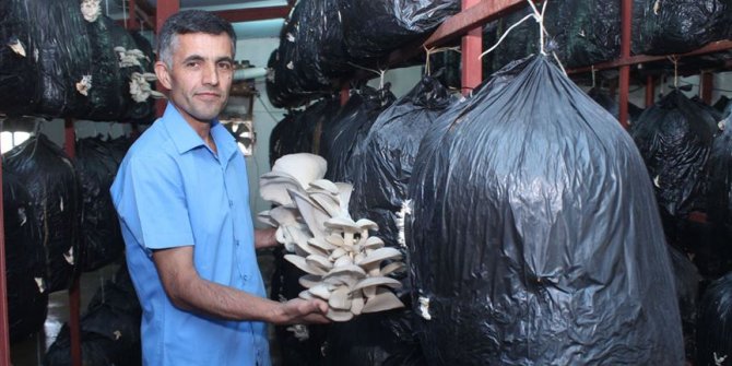 İran sınırındaki köyüne dönüp üretici oldu