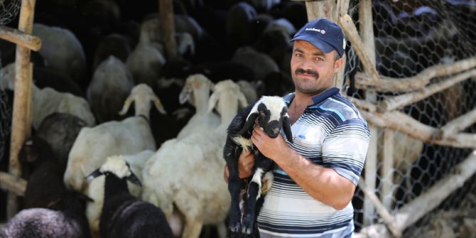 Köyüne dönerek kazancını da huzurunu da artırdı