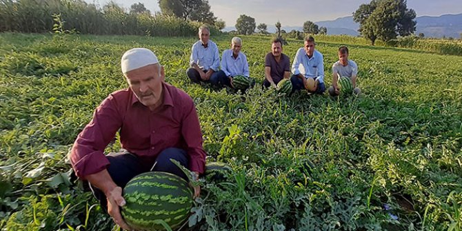 Üretimi 10 kar arttı