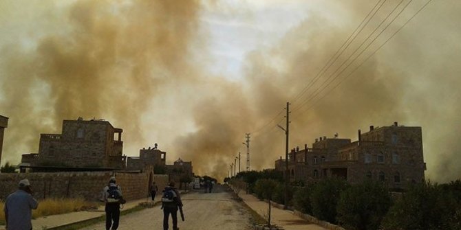 Mardin'de orman yangını