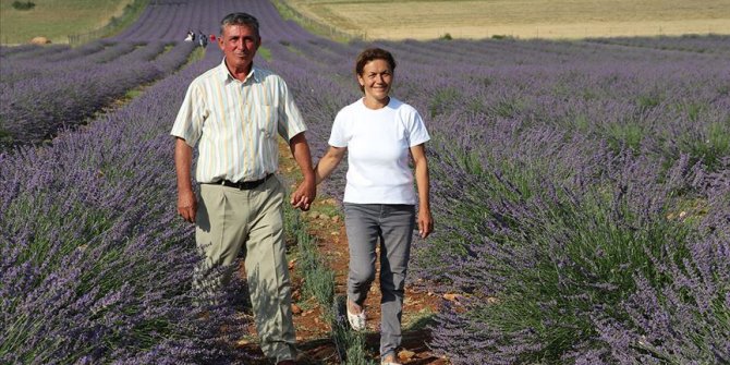 Lavanta tarlasını turizm merkezine çevirdi