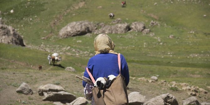 Göçerlerin zorlu yayla yaşamı