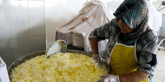 Gelin gittiği köyde süt işletmesi kurdu