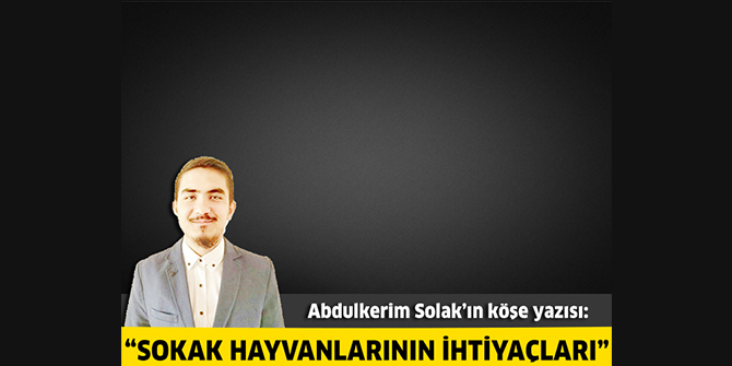 Sokak hayvanlarının ihtiyaçları