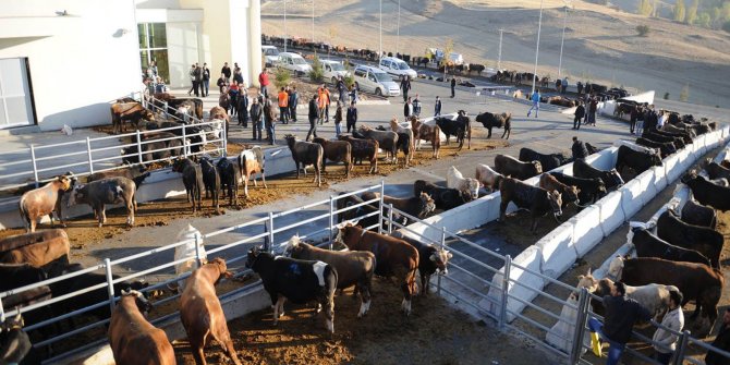 Altındağ'da kurban kesim yerleri nerede?