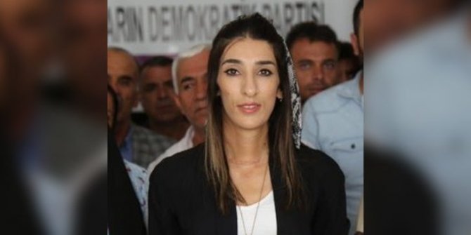 HDP il başkanı gözaltına alındı