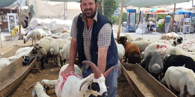 Pazarın ilgi odağı oldu