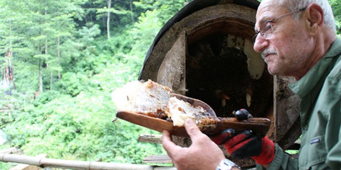 Kilosu 600 lira olan karakovan balı yok satıyor