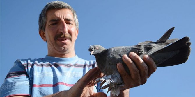 Kazalara rağmen kuş sevgisinden vazgeçmedi