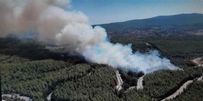Bodrum'da orman yangını