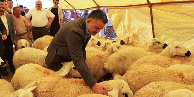 Tarım ve Orman Bakanı Pakdemirli: Kurban pazarlarında her türlü tedbiri aldık