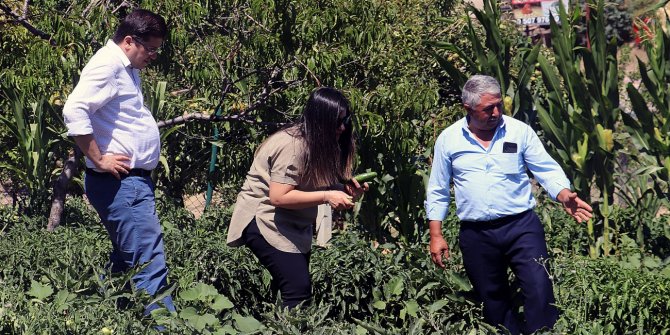 Keçiören'de organik tarım için saha gezileri başladı