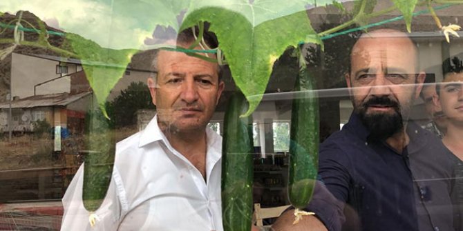 Markette sebze yetiştiriyor