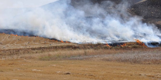 Başkent'te 50 günde 2 bin 500 yangın meydana geldi