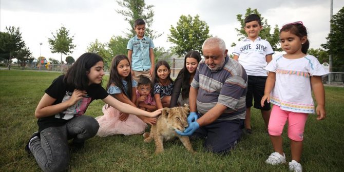 Hayvanat bahçesinin kralı 'Pusat'a bakıcı şefkati