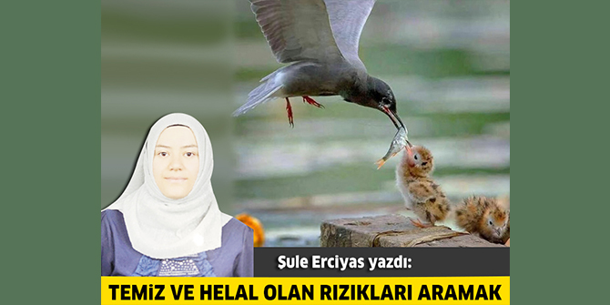 Temiz ve helal olan rızıkları aramak