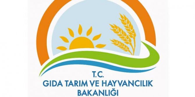 4 bin 996 sözleşmeli personel alacak