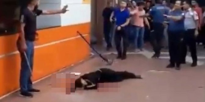 Batman'da vahşet! Defalarca bıçakladıktan sonra kimseyi yaklaştırmadılar