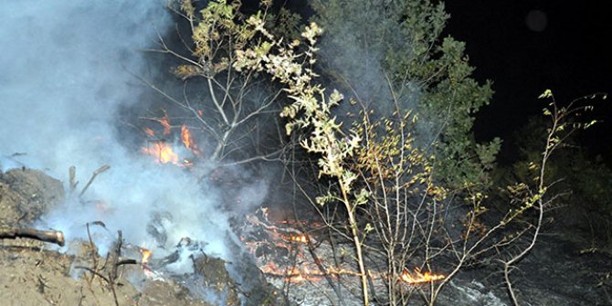 Malkara'da ormanlık alanda yangın