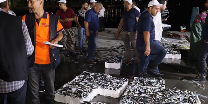 Balıkçılar sezonun ilk avından döndü