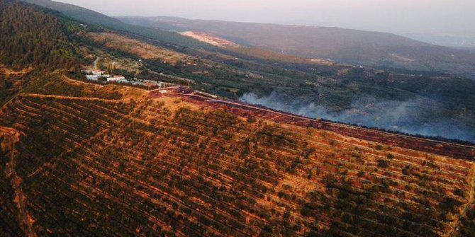 Kaş ve Erdek'teki orman yangınları kontrol altına alındı