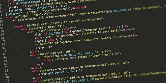 'Siyaset bilimi okuyanlar bile programlama öğreniyor'