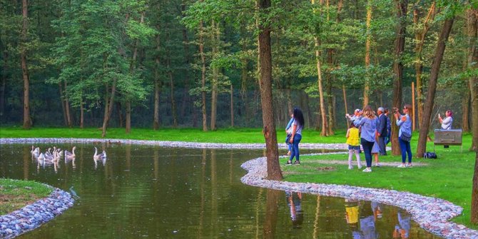 'Avrupa'nın en büyük doğal yaşam parkı' film seti oldu