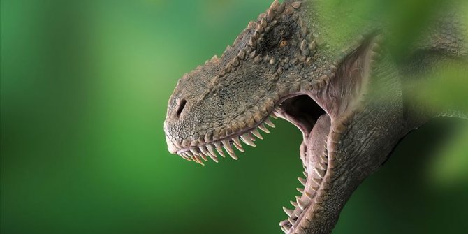 T-Rex'lerin kafataslarında klima işlevi gören delikler keşfedildi