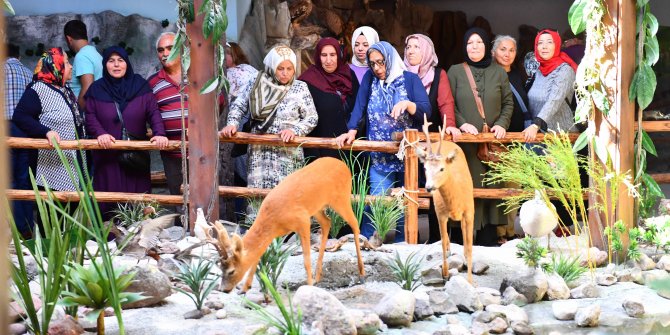 Büyükşehir Belediyesi'nden ücretsiz kent içi turları devam ediyor