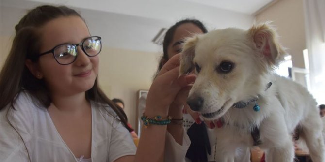 'Tebeşir' isimli köpek öğrencilerle derse girdi