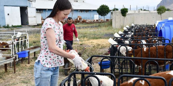 'Masa başı' işten sıkılınca kıtalar arası maceraya atıldı