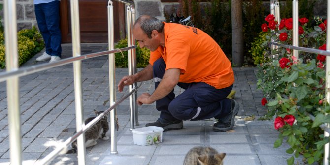 Ulucanlar'ın "can dost"ları