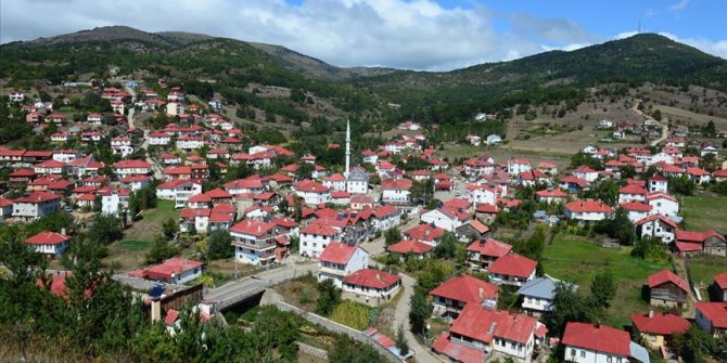 Karadeniz'in doğasını ve mimarisini koruyan mahalle: Yeşilce