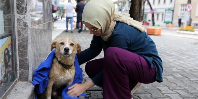 Yağmurda ıslanan köpeği kıyafetiyle kuruladı