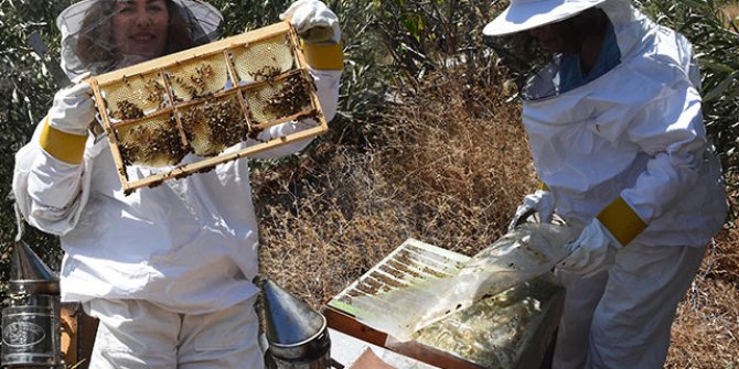 Kadın arıcının azmi, çevresine örnek oldu