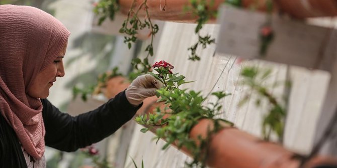 Gazze'de topraksız tarımda bir ilk gerçekleştirildi