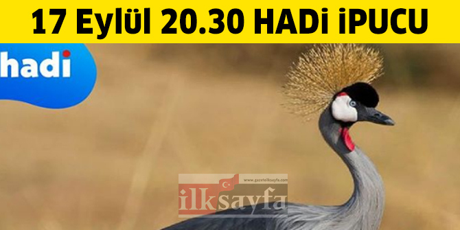 Yeni Türkü'nün Telli Turna şarkısının sözleri nedir? 17 Eylül HADİ ipucu 20.30 Müzik Gecesi