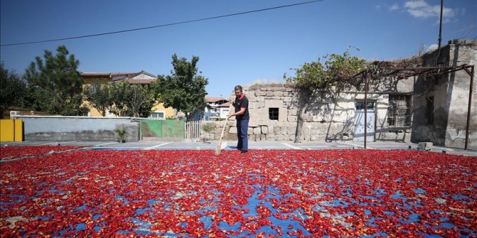 Pastırma ve sucuğun olmazsa olmazı: Cırgalan biberi