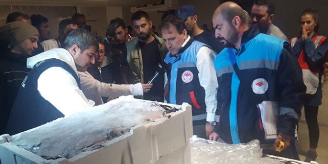 Balık boyu denetimine takılan 2 ton balığa el konuldu