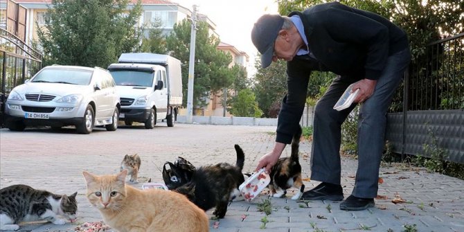 Babasının vasiyetiyle hayatını sokak hayvanlarına adadı