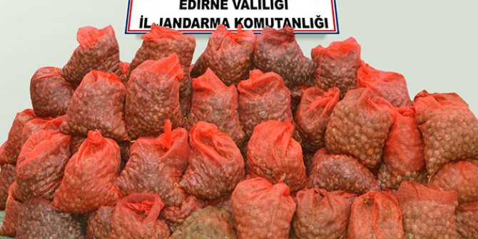 Keşan'da 1 ton 350 kilo kaçak midye ele geçirildi