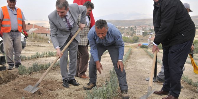 Almanya Büyükelçiliği ve Mamak Belediyesi işbirliğinde lavantalar toprakla buluştu