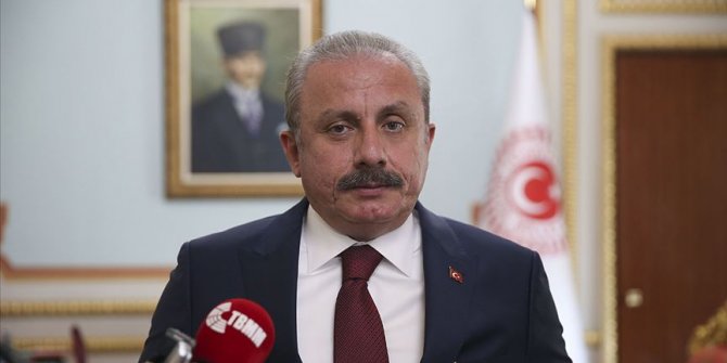 Meclis Başkanı Şentop'tan 'Barış Pınarı Harekatı' mesajı