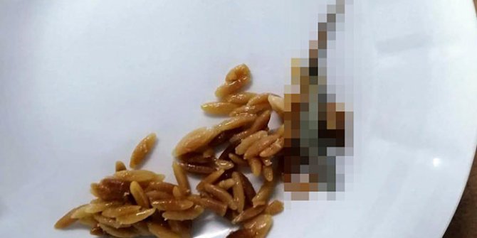Hastane yemeğinde kertenkele iddiasına inceleme