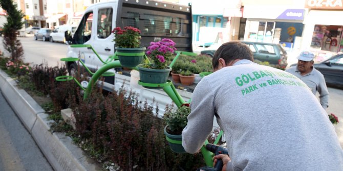 Gölbaşı rengarenk kış çiçekleriyle ilçeyi donattı