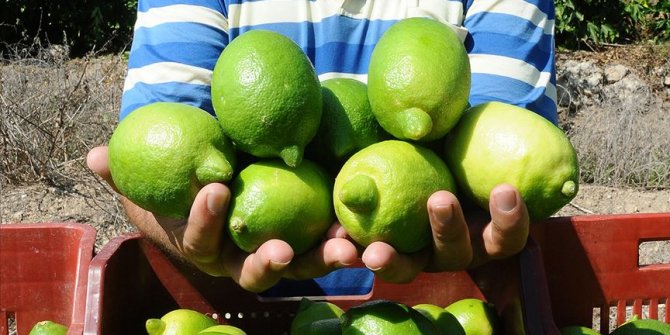 Ekşi limondan 'tatlı' gelir